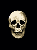 koponya.gif